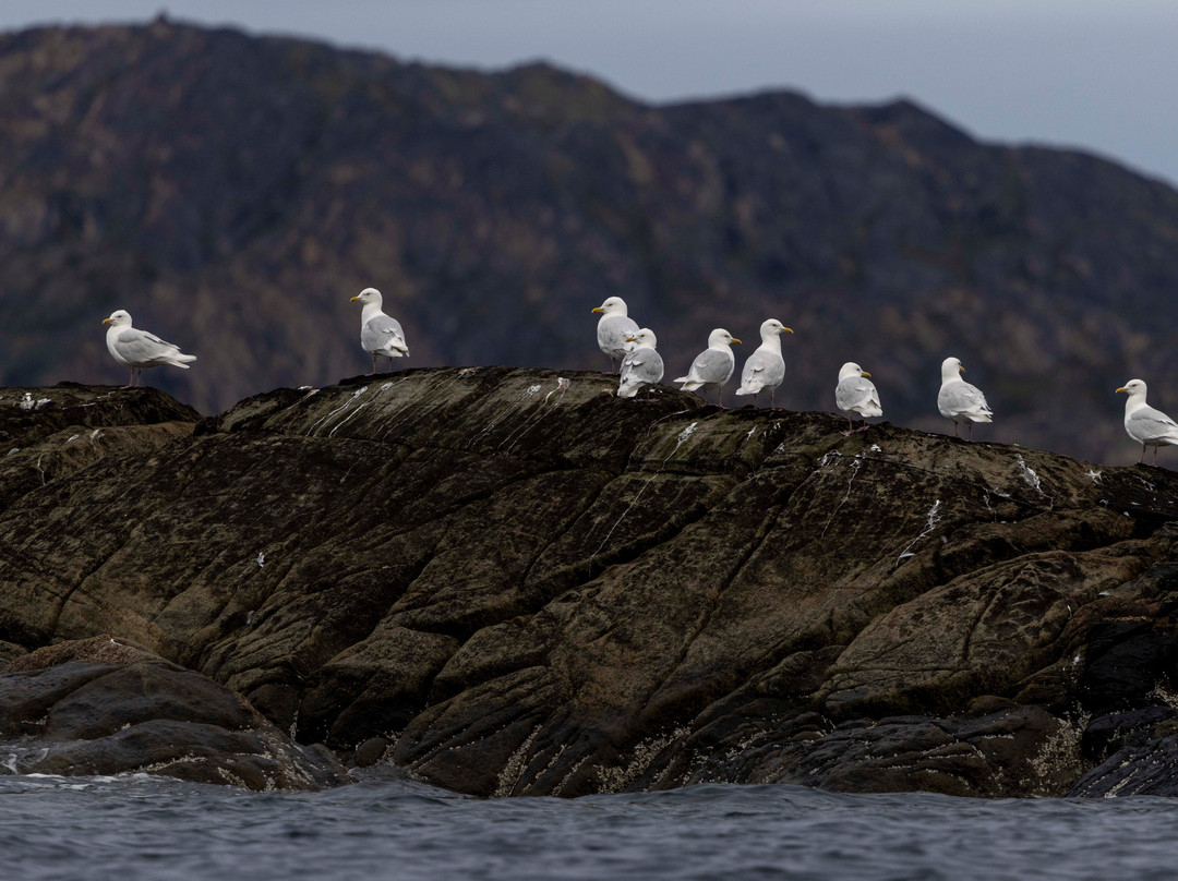 Sisimiut Museum-Sisimiut必去景点