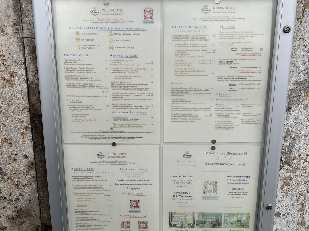 尼尔斯泰恩莱茵酒店主图