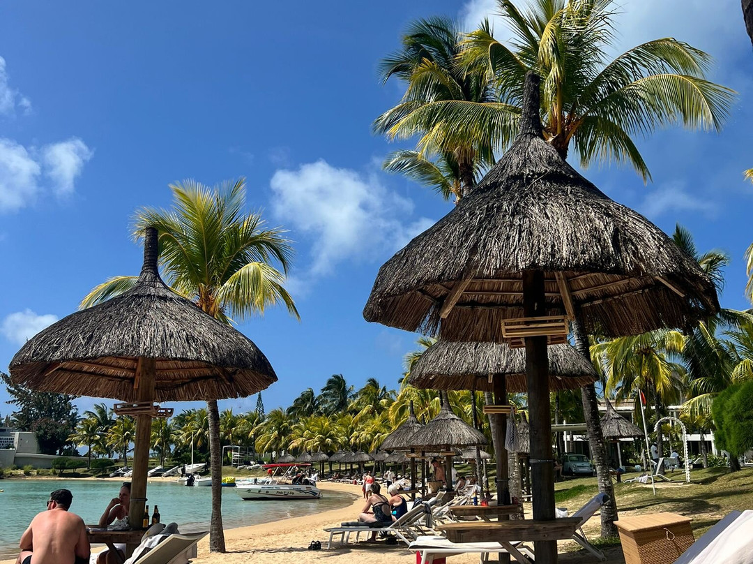 Mahlatini Luxury Travel-Rondebosch必去景点