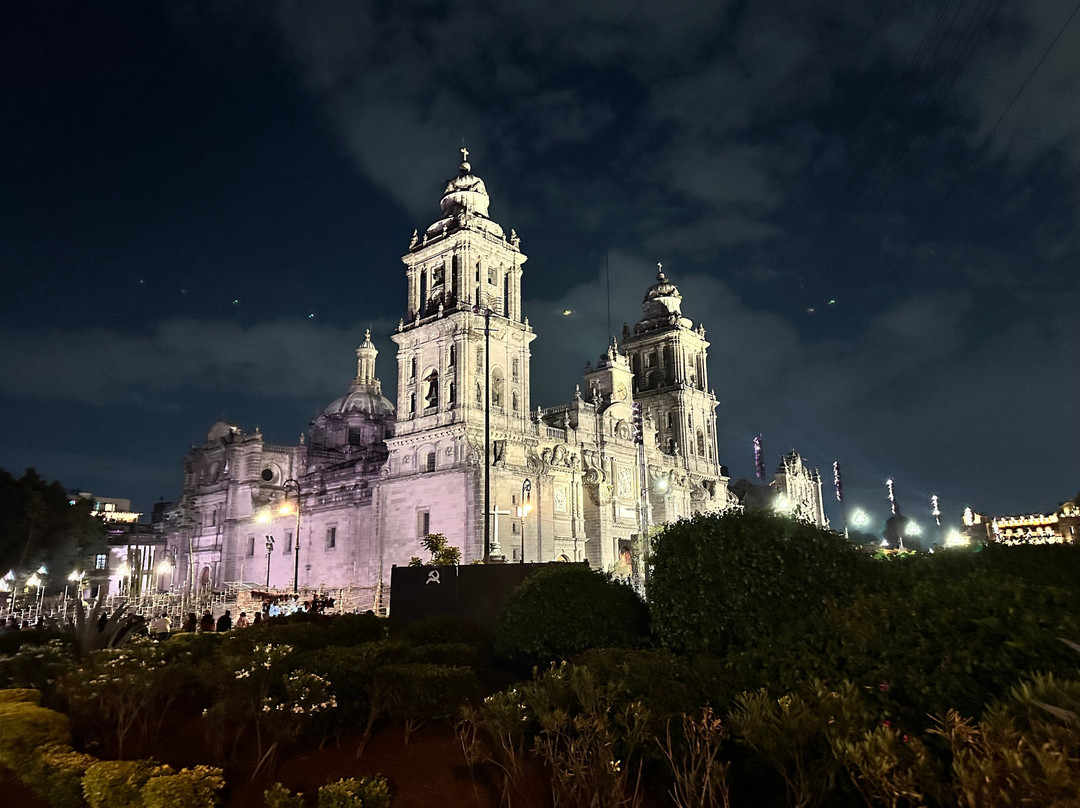 Camino Real Pedregal主图