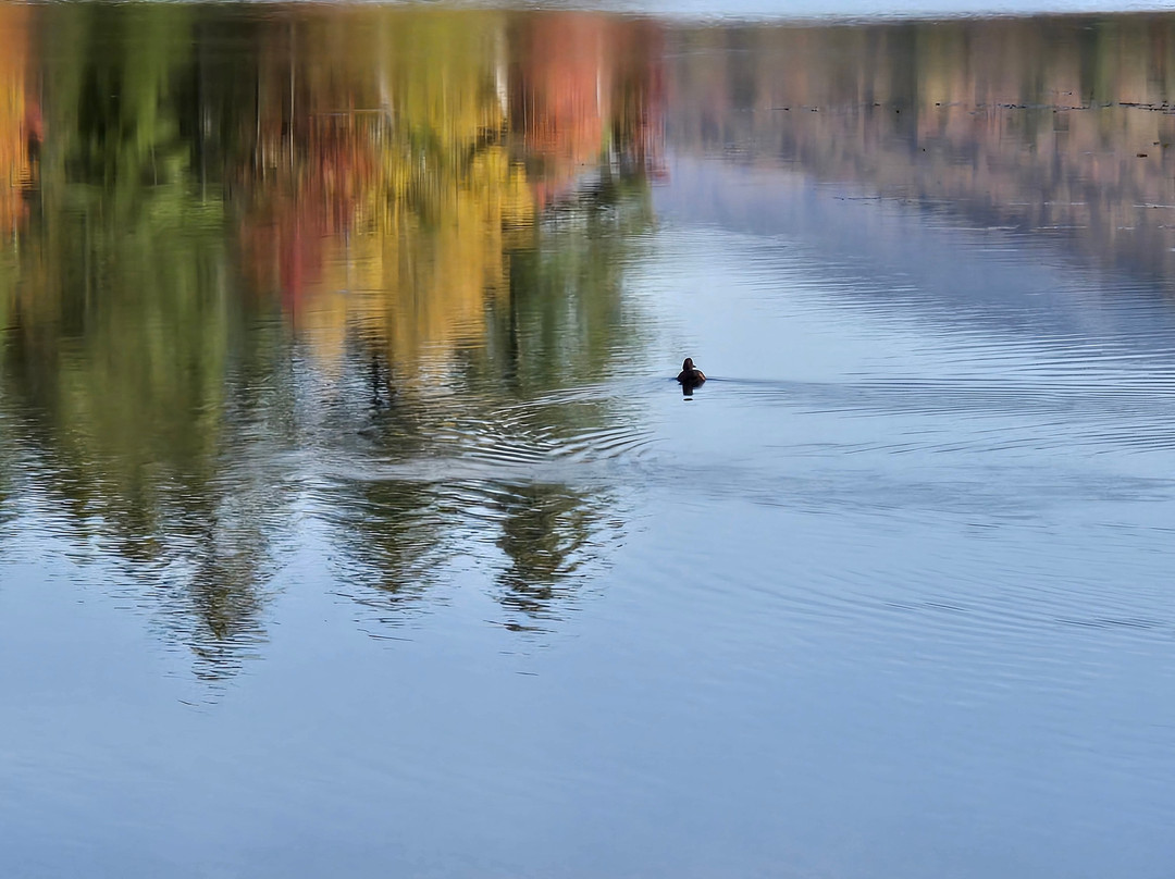 Leffert's Pond-基灵顿必去景点