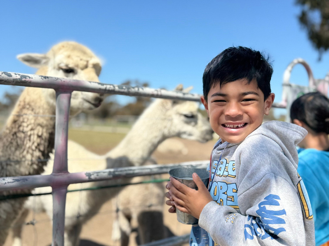Animal Land Children's Farm-Diggers Rest必去景点