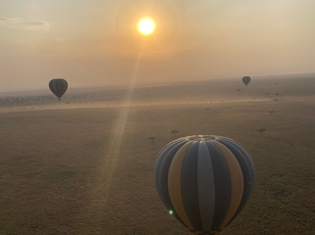 Usaka African Adventures-阿鲁沙必去景点