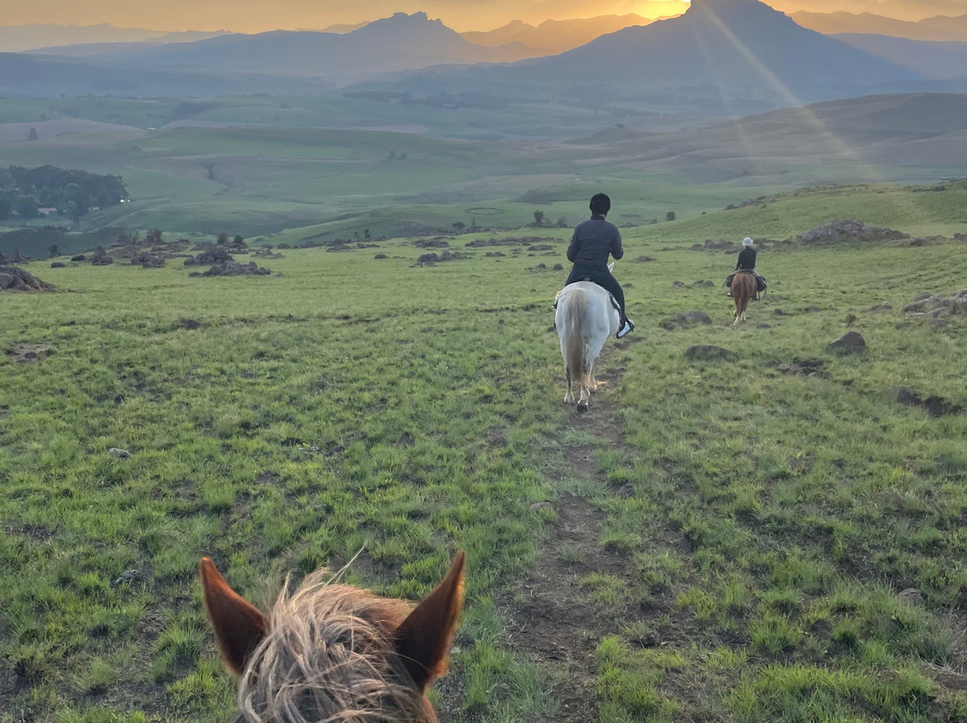 Khotso Horse Trails-安德堡必去景点