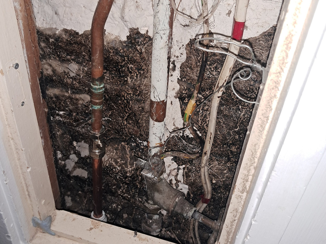 Squirrel Inn at Hurtmore主图