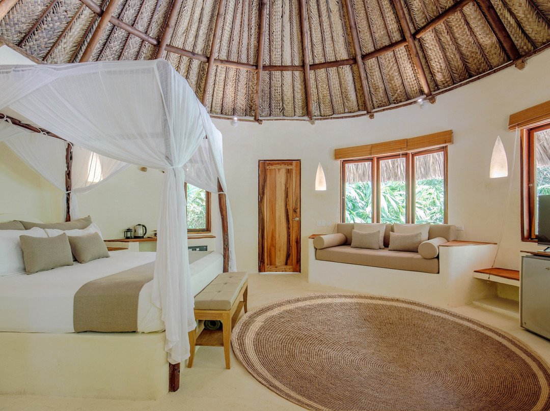 One Santuario Natural主图