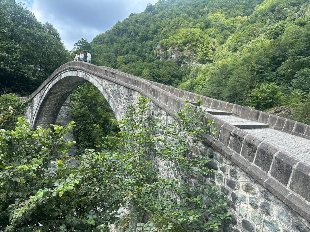 Twin Bridge-Artvin必去景点