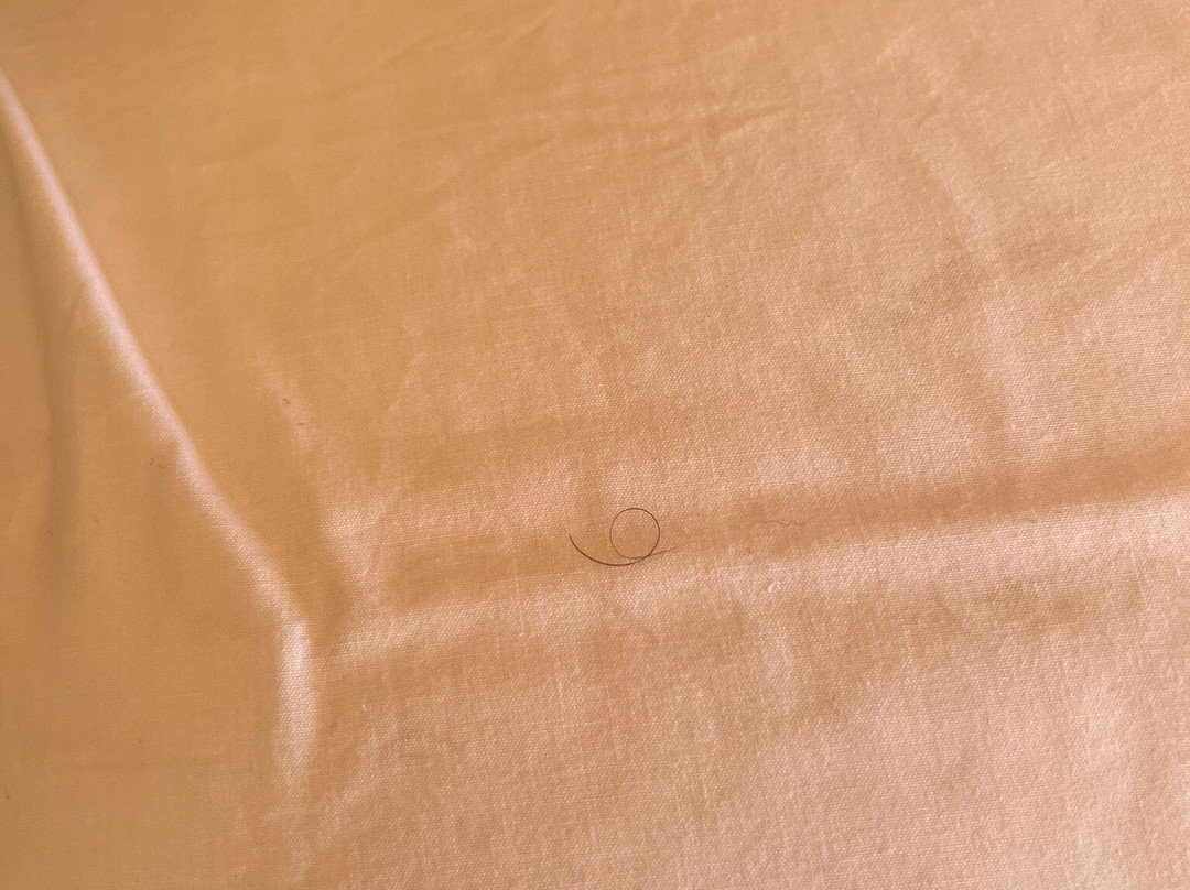 Milionis Forest Hotel主图