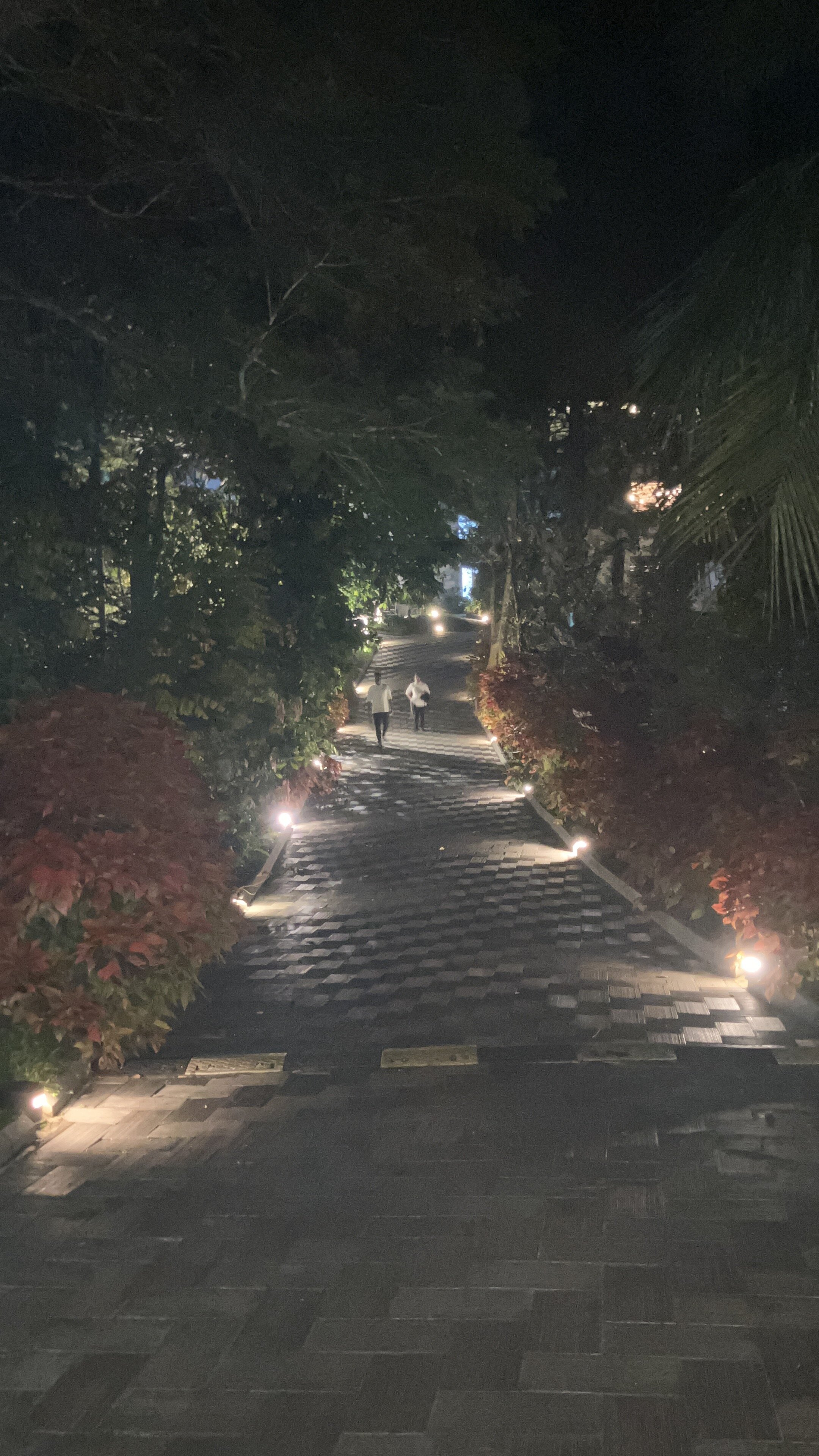 Sterling Wayanad-浴室