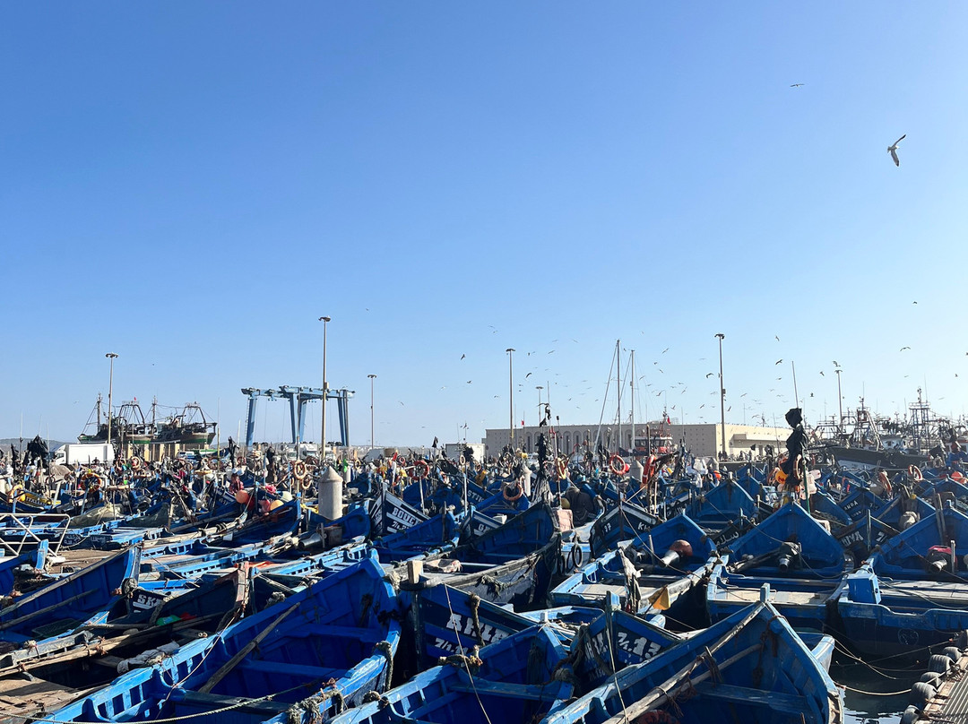 Morocco Life Tours-非斯必去景点