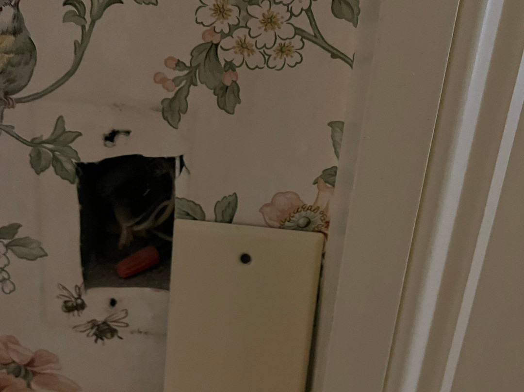 Inn at Jackson主图