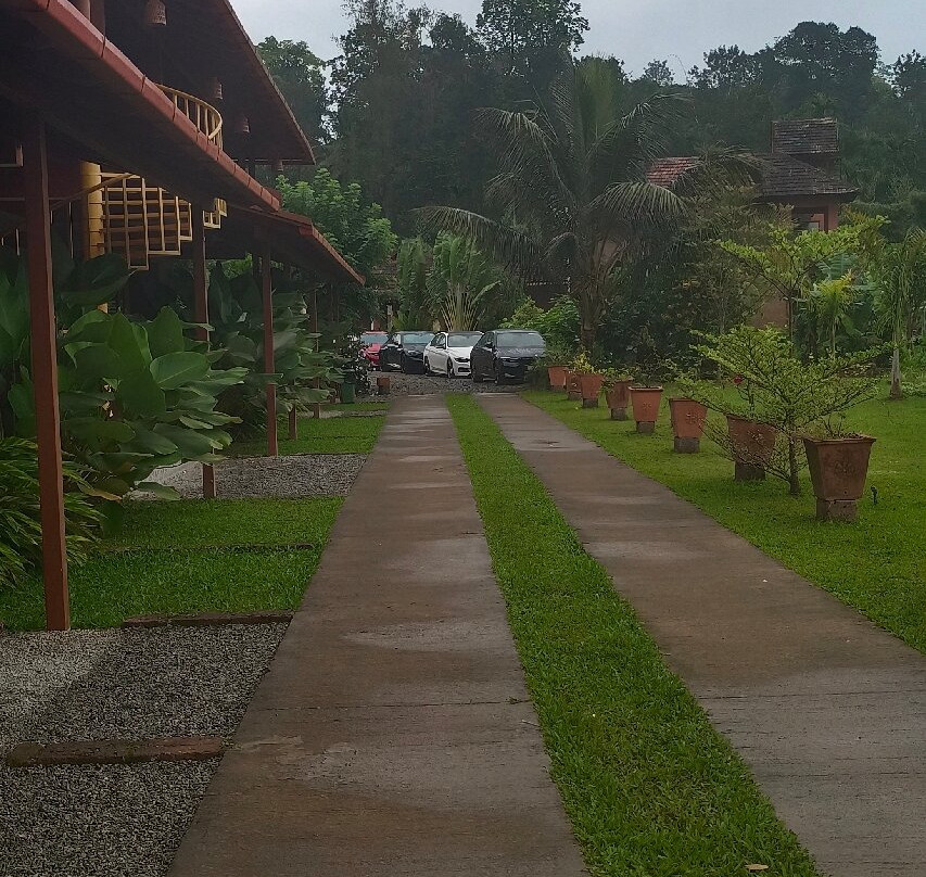 Highfields Coorg Homestay