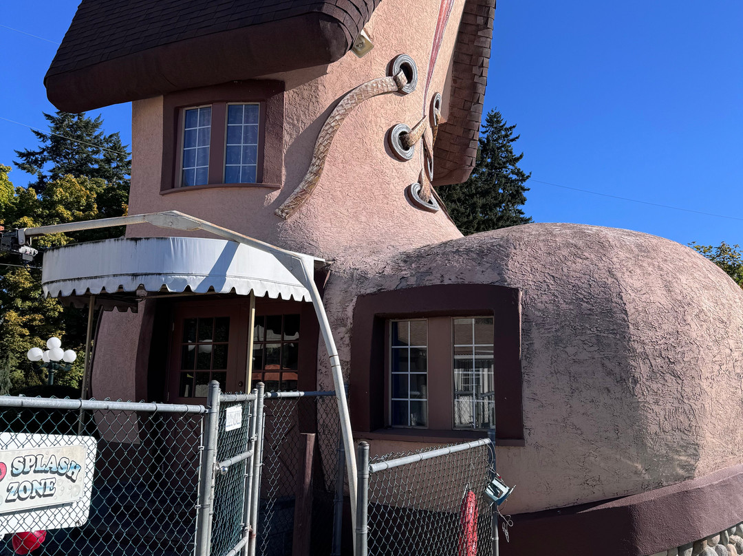 Paradise Fun Park-帕克斯维尔必去景点