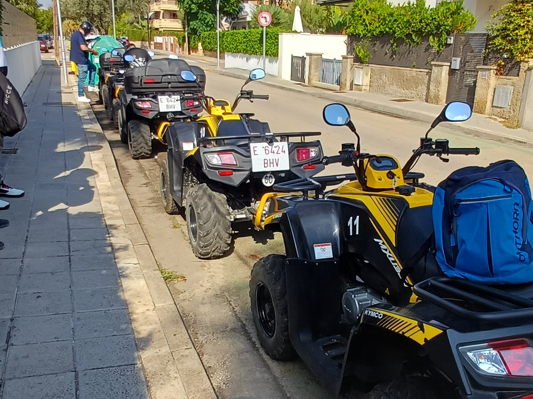 Buggy 4 Fun-Ca'n Picafort必去景点