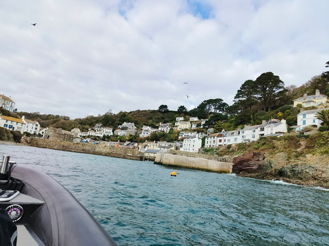 Cornwall Seafari-福伊必去景点