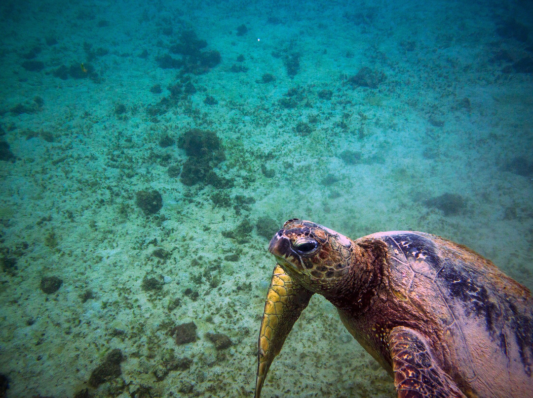 阿尼尼海滩-可爱岛必去景点