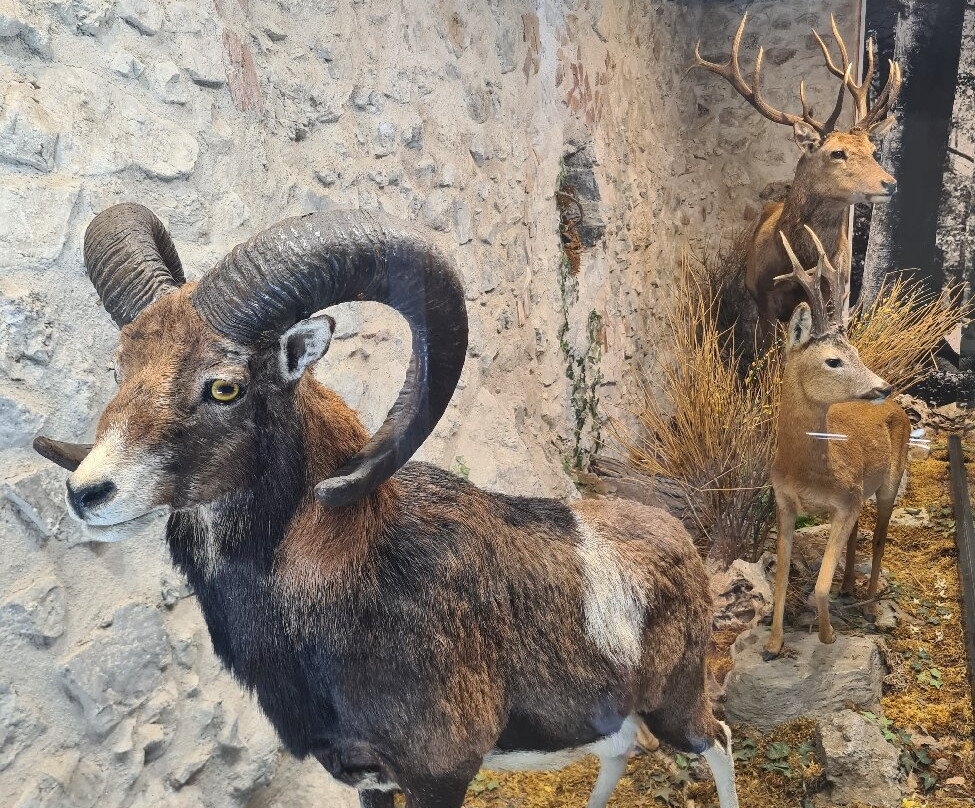 Il Nibbio-Morano Calabro必去景点