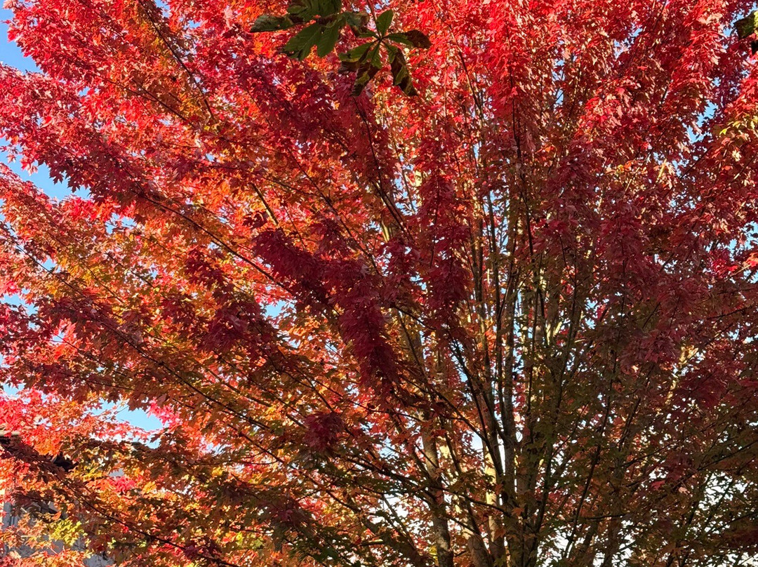 Iriarte Jauregia Hotel主图