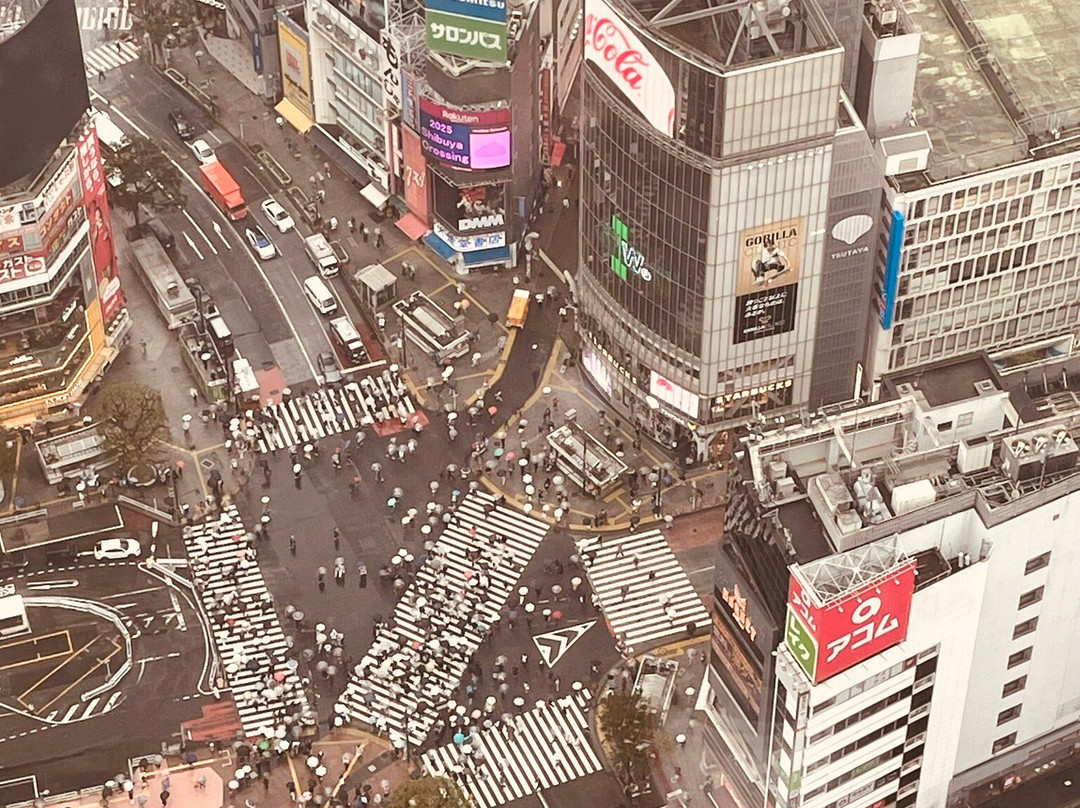 Shibuya Sky-涩谷区必去景点