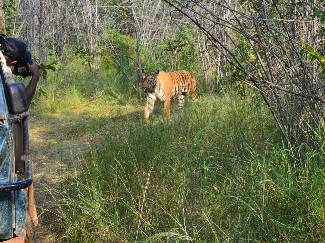 Jungle Bucket List-Moharli必去景点