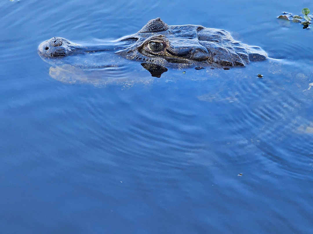 Fazenda San Francisco-米兰达必去景点