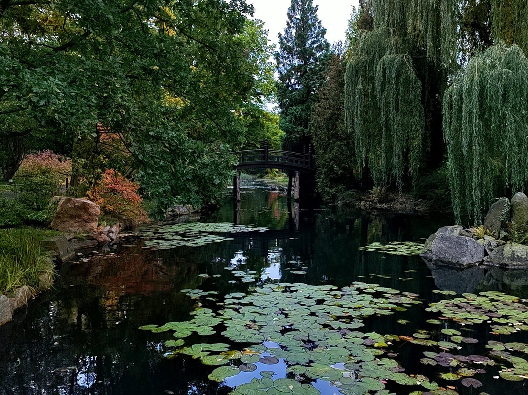 Japanese Garden - Szczytnicki Park-弗罗茨瓦夫必去景点