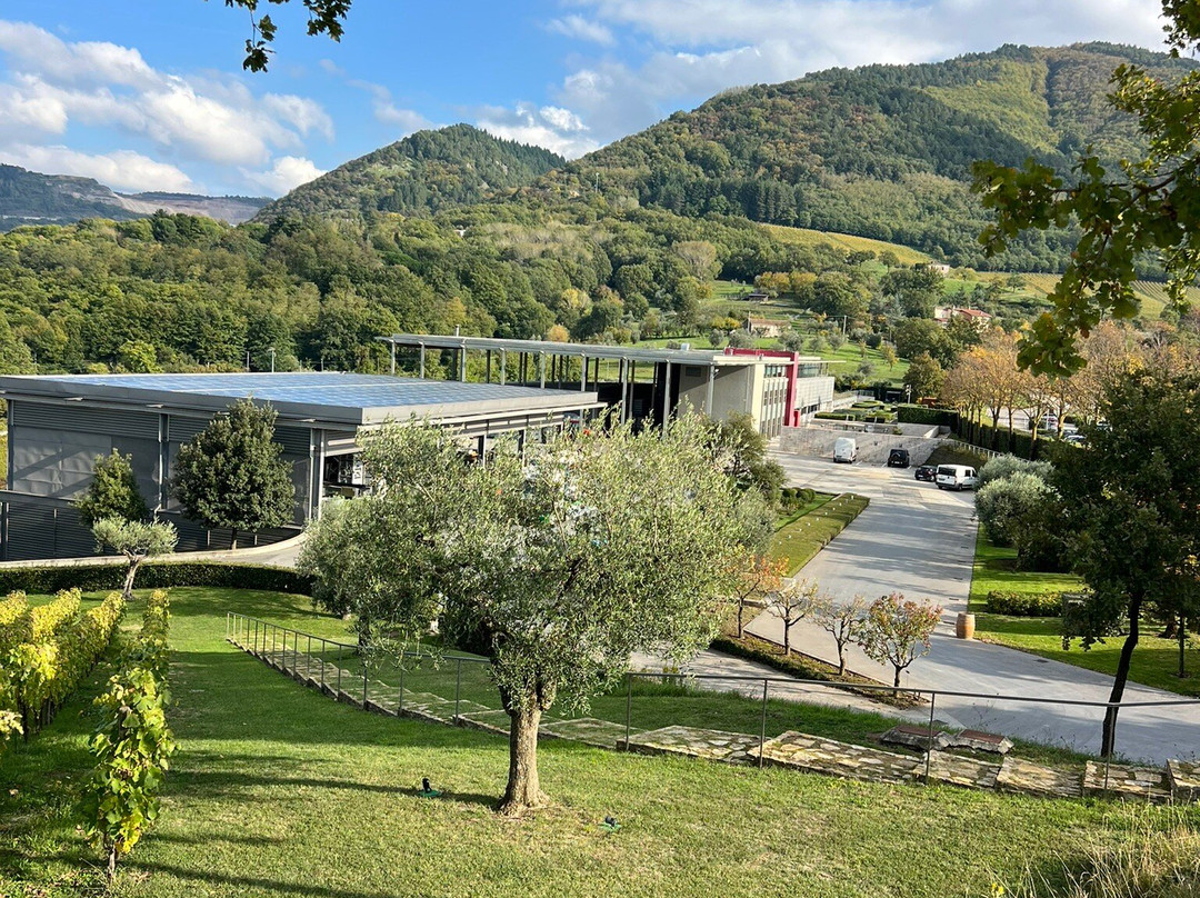 Feudi di San Gregorio-Sorbo Serpico必去景点