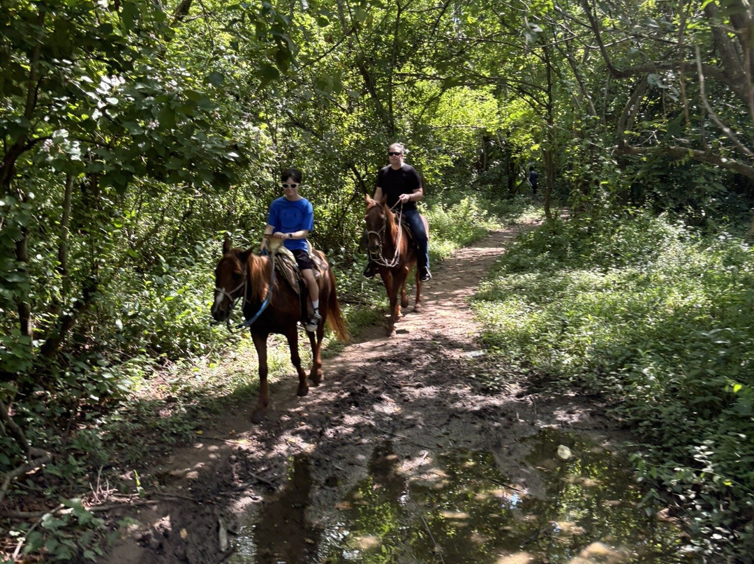 Lo de Marcos Horseback Rides & Adventure Tours-Lo de Marcos必去景点