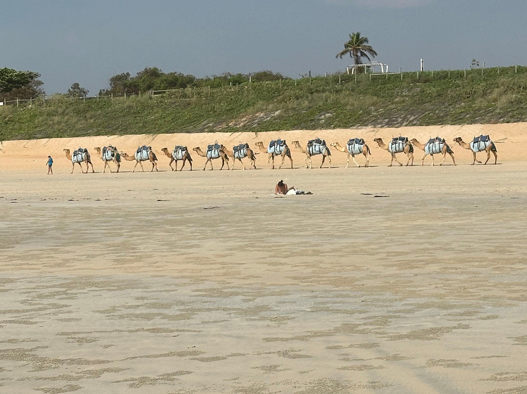 Cocos Beach Bungalows主图