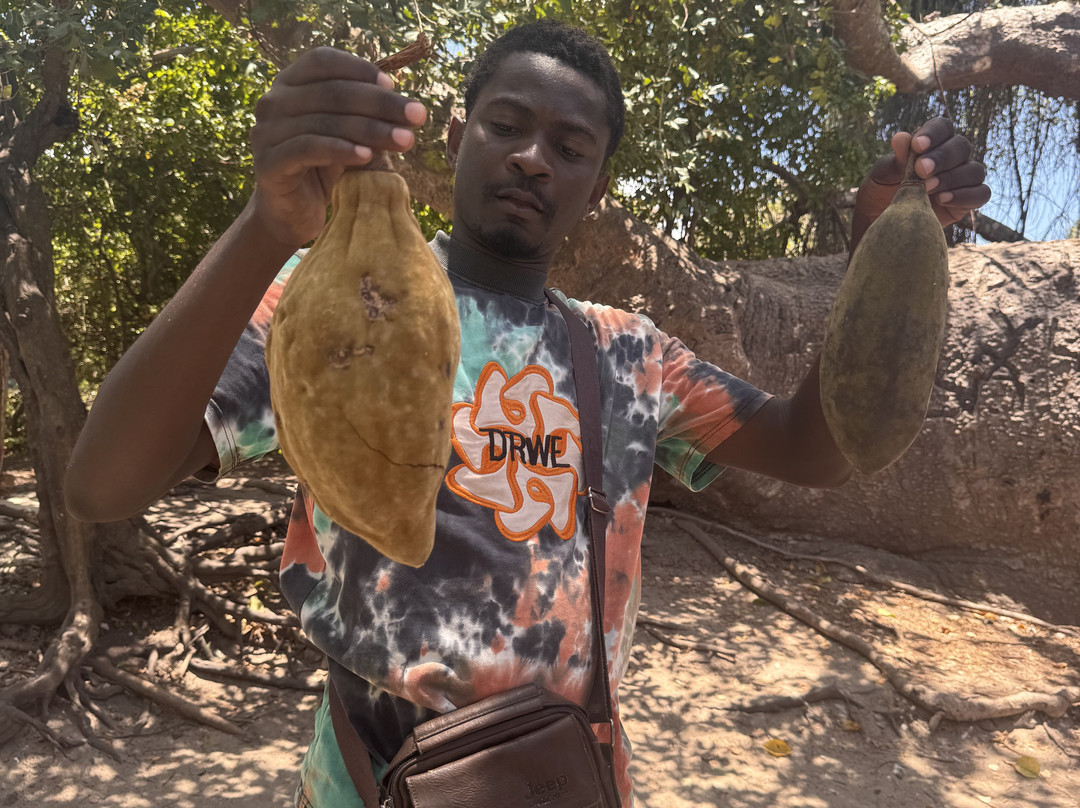 Massa Junior Zanzibar Tours & Safaris-Chwaka必去景点