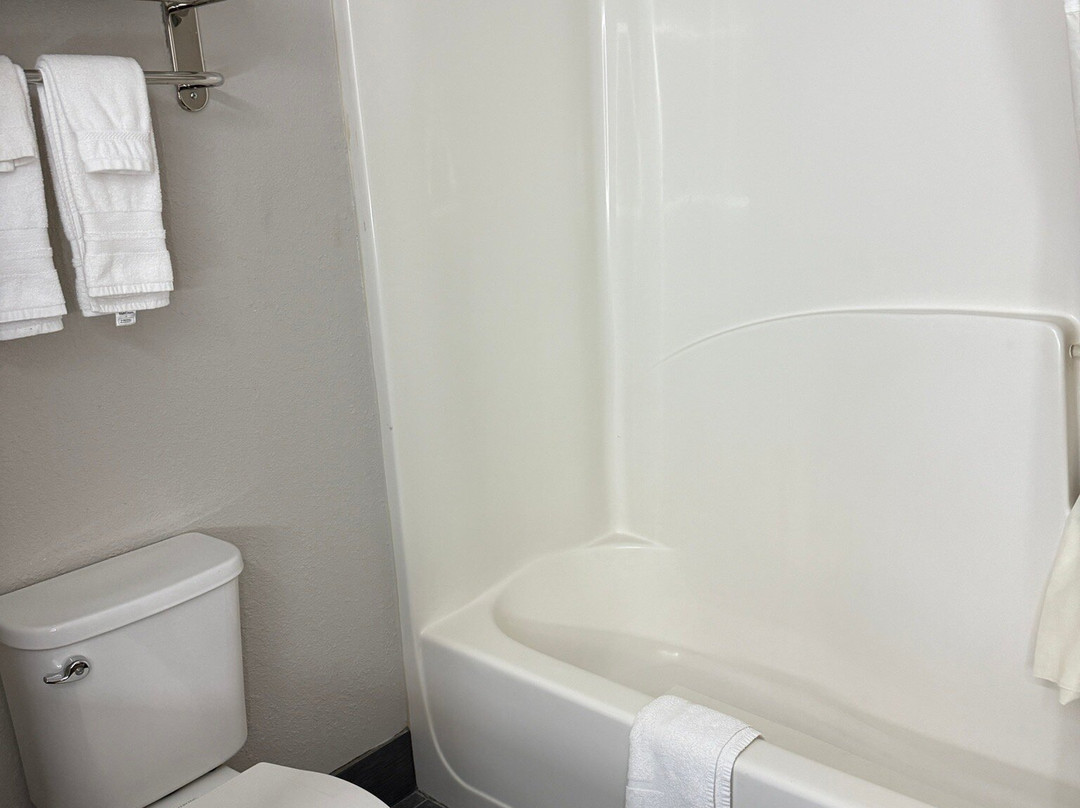 Best Western Savannah Airport Inn & Suites主图