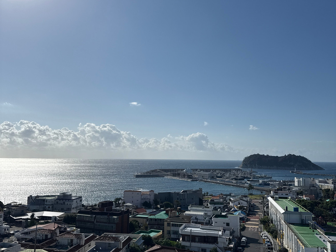 Hotel Bridge Seogwipo主图