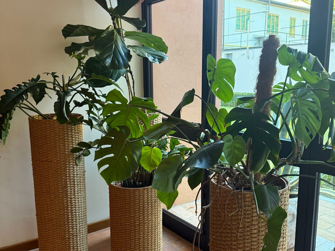 Hotel Isola di Caprera主图