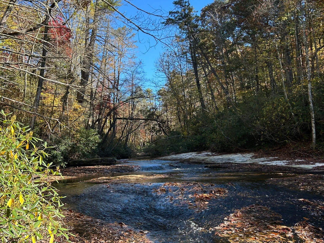 The Bike Farm-Pisgah Forest必去景点