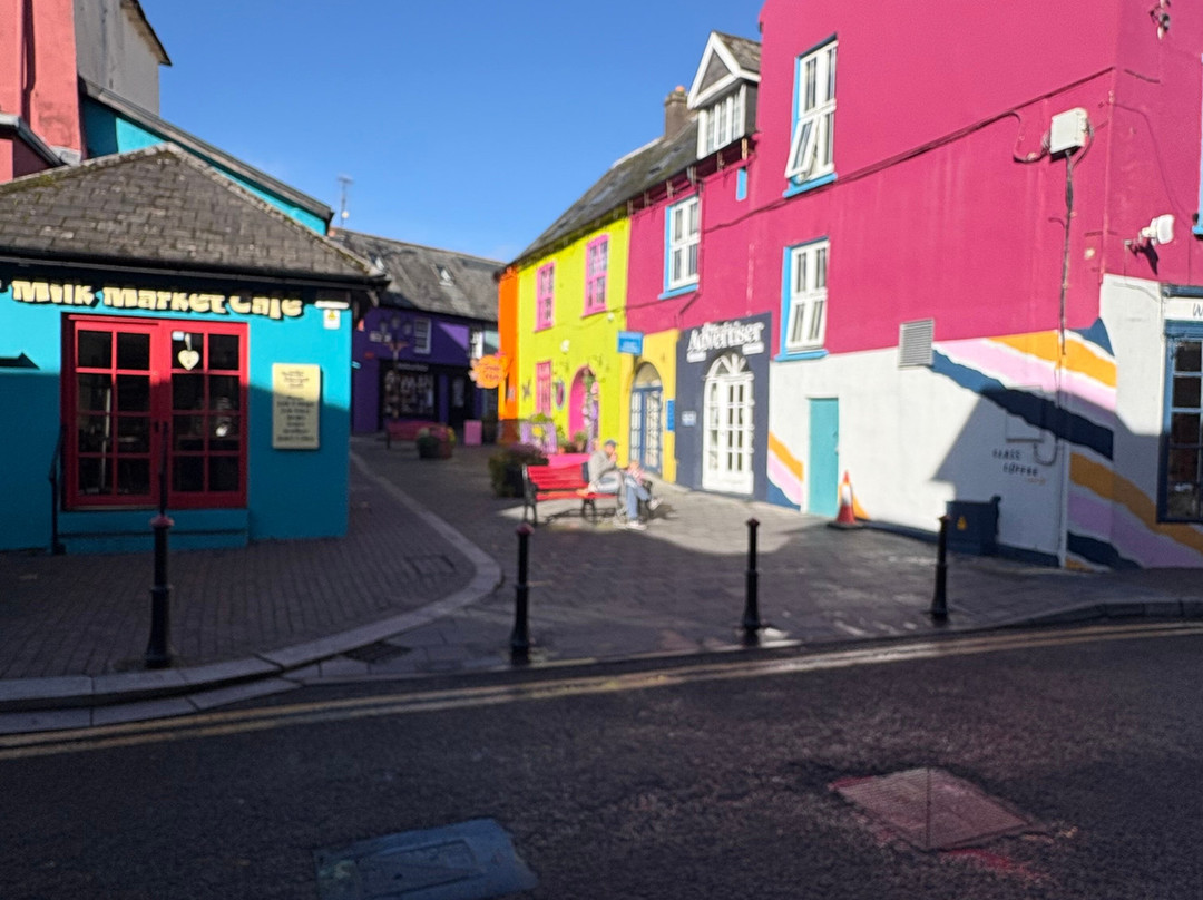 Elite Tours Ireland-利默里克必去景点