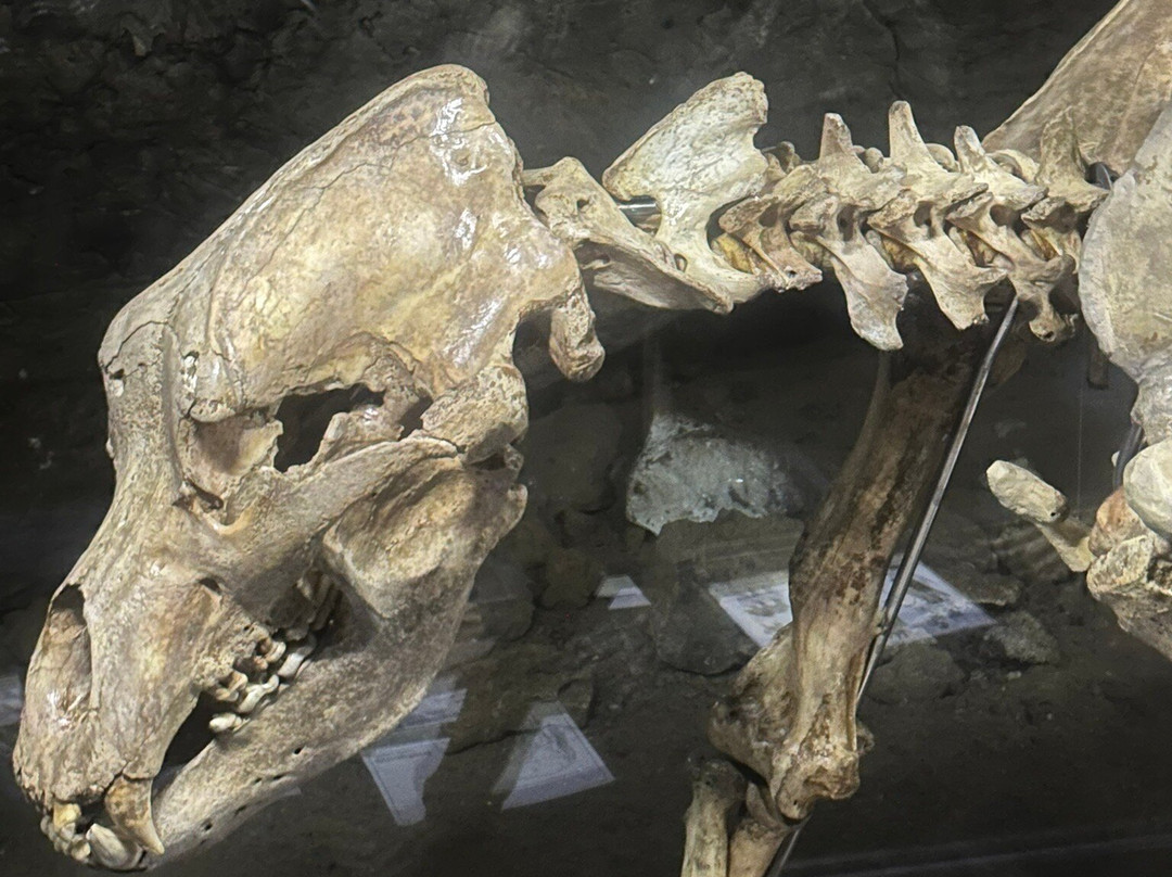 Heinrichshöhle-Hemer必去景点