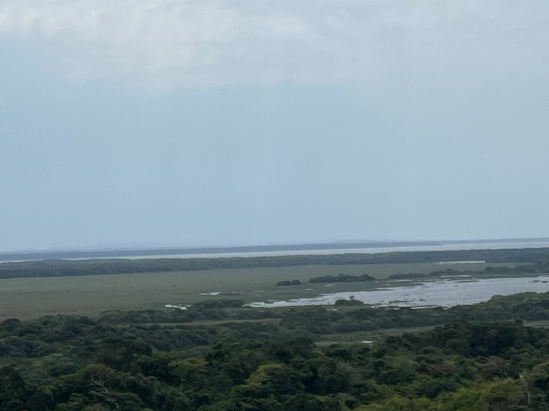 At Heritage House主图