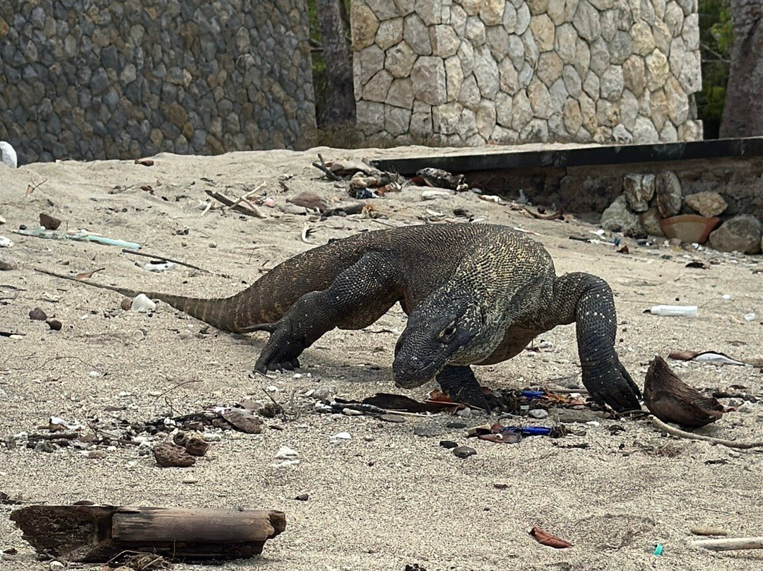 Lingko Flores Travel-Labuan Bajo必去景点