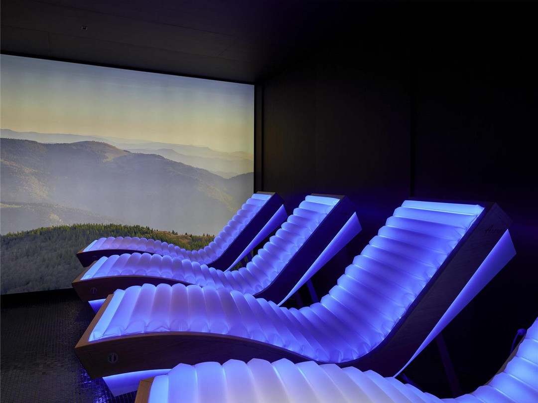 美憬阁科尔马 L'Esquisse 水疗酒店