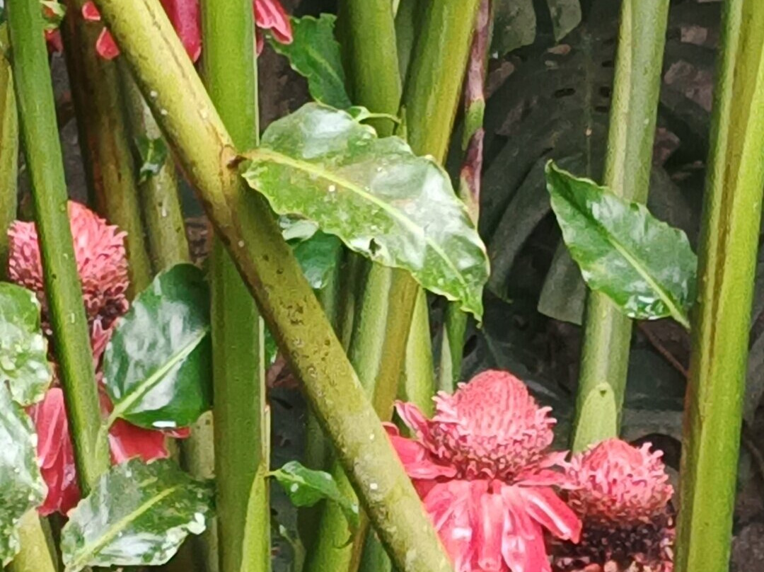 GReaT Trails Wayanad By GRT Hotels主图