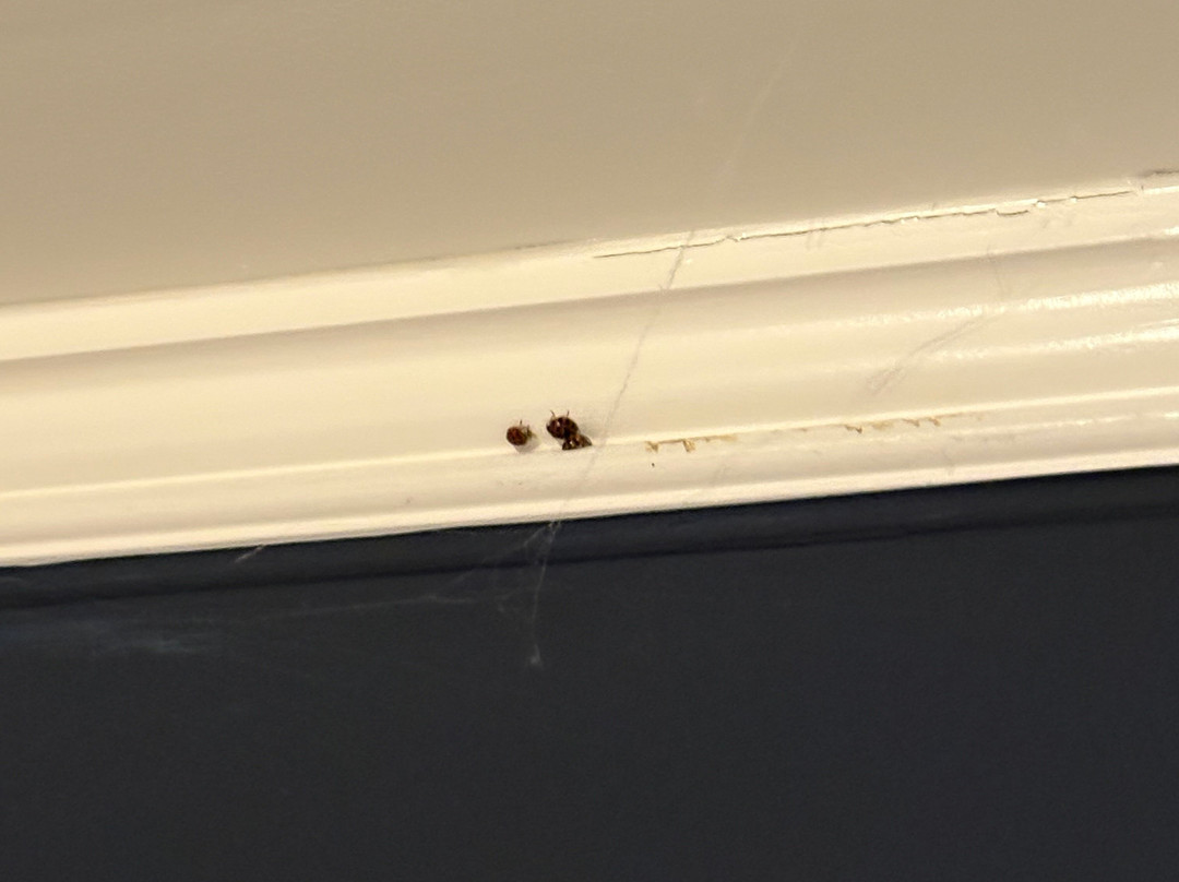 Catskill Seasons Inn主图