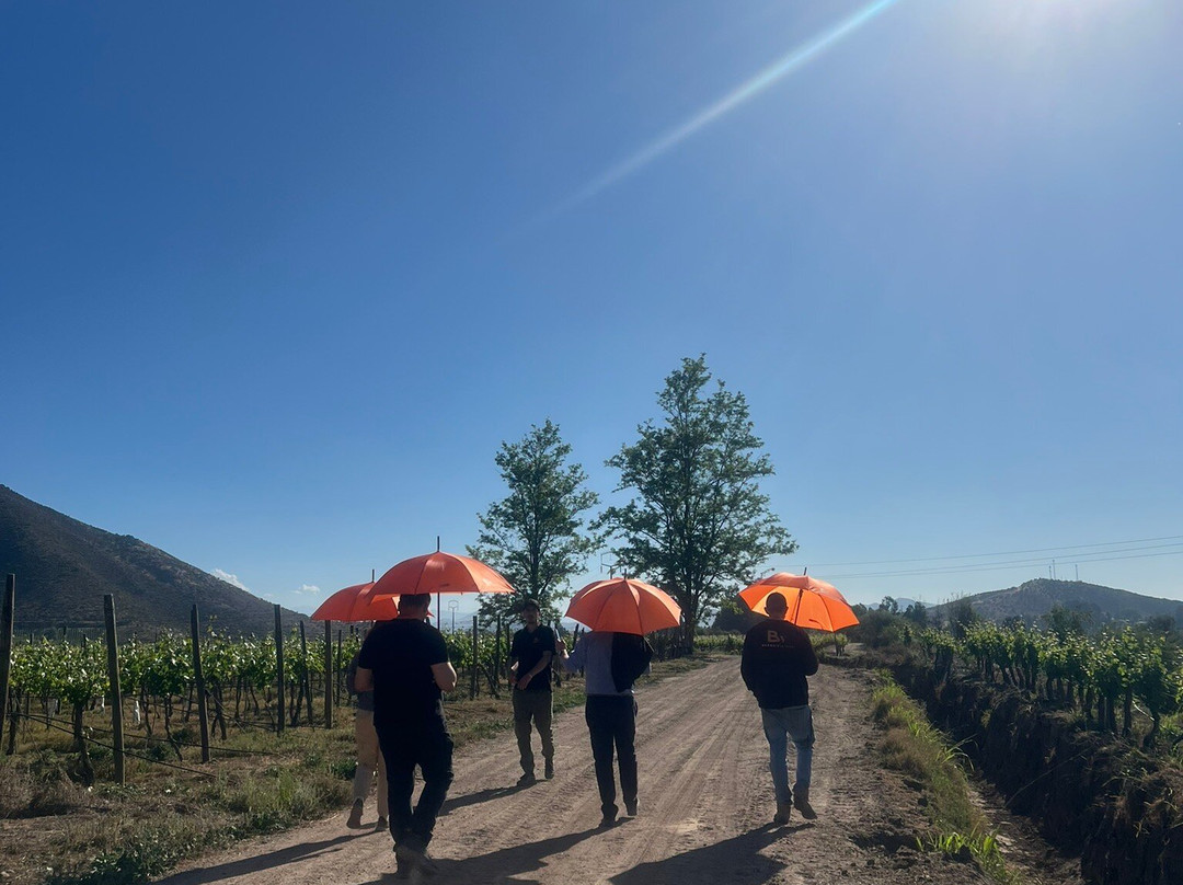 BESOAIN Wines-Pirque必去景点