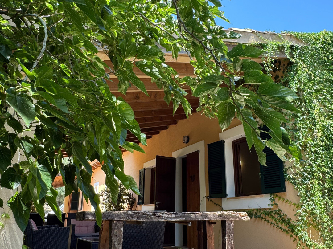 The Yoga Concept-克里斯托港必去景点