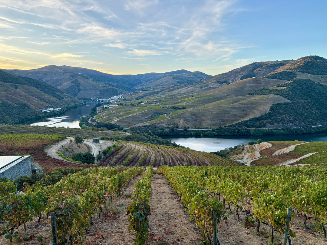 Gourmet Safaris-Cremorne必去景点