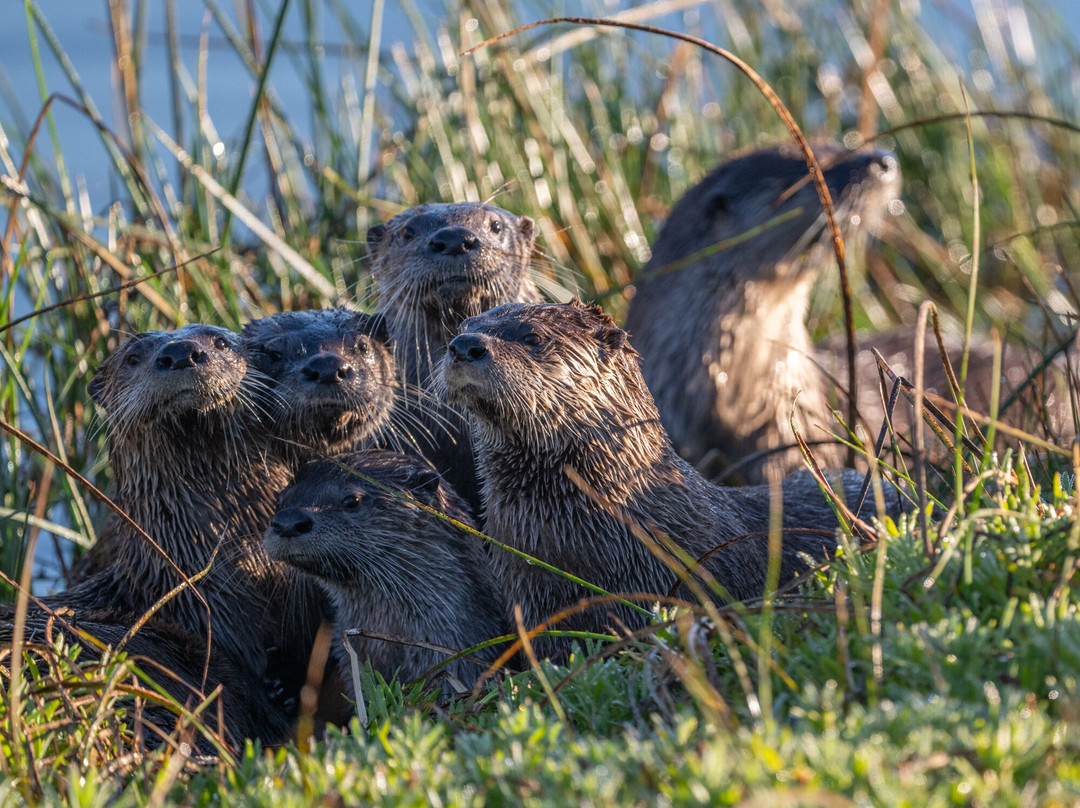 Point Reyes Safaris-Point Reyes Station必去景点