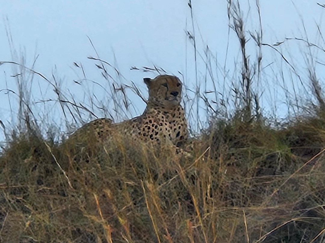 Tanzania Roadside Expeditions-阿鲁沙必去景点