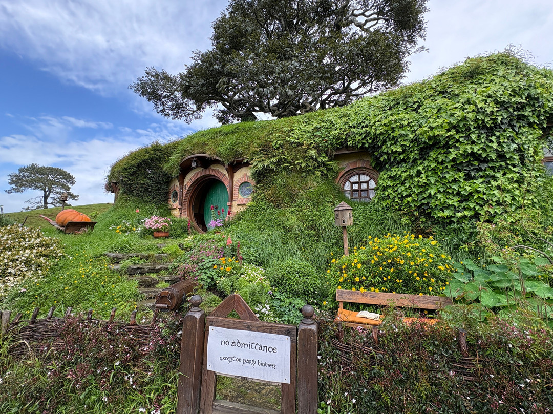 Red Carpet Tours-奥克兰中心地区必去景点