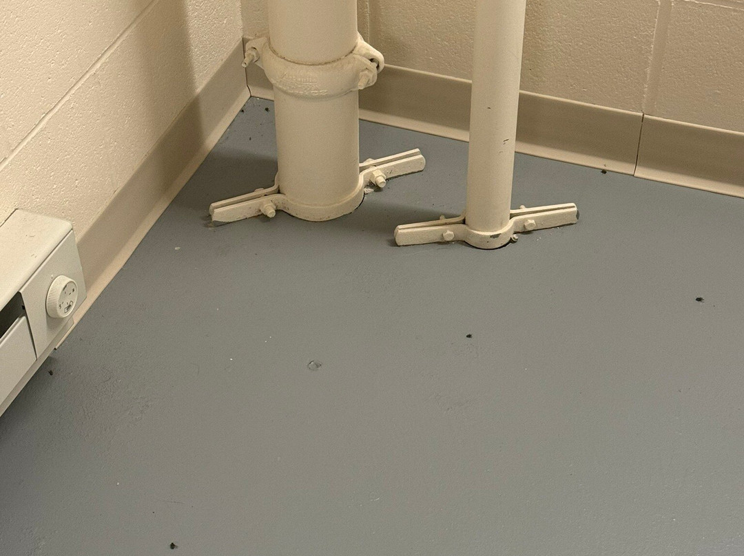 Hyatt Place Madison / Verona主图