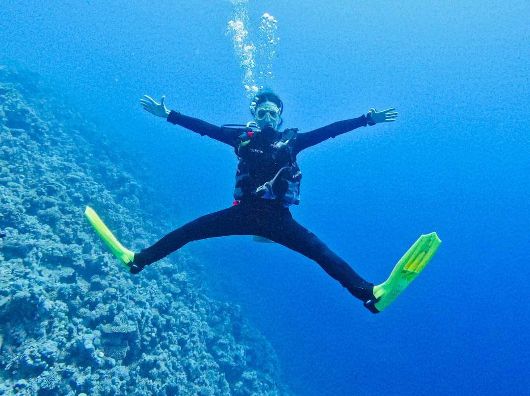 Penguin Divers Club-达哈卜必去景点