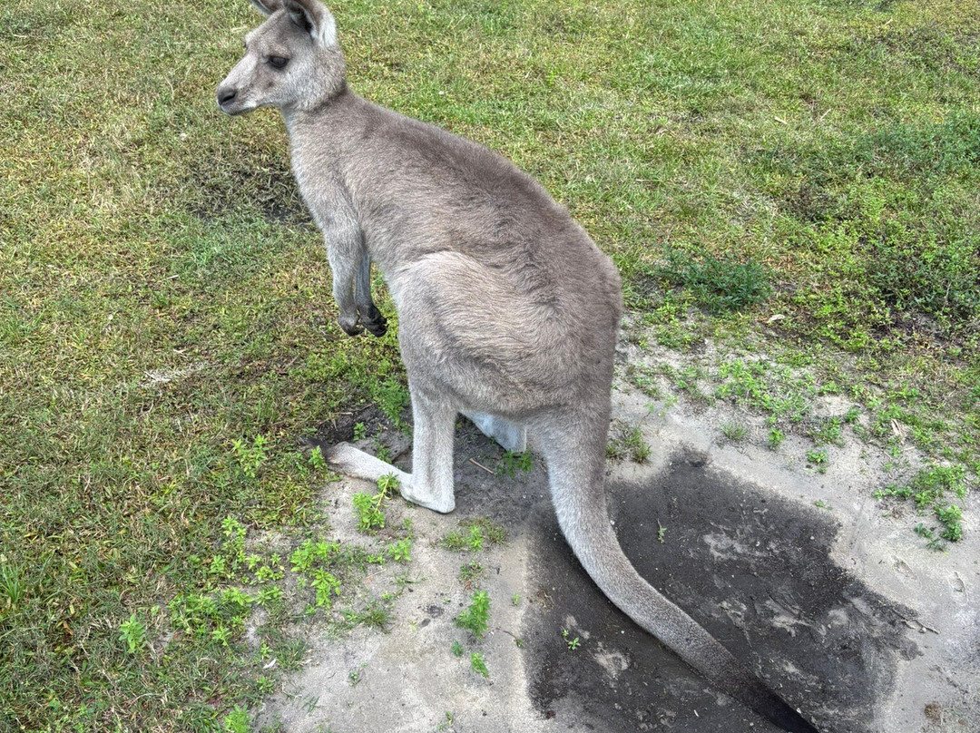 Exotic Animal Experience-奥兰多必去景点